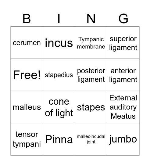 Outer and Middle ear BINGO Card