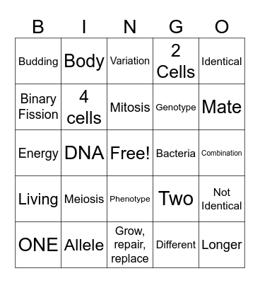 Cell Division BINGO! Bingo Card