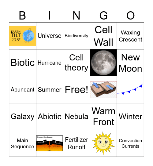 Reporting Category 3 and 4 Bingo Card