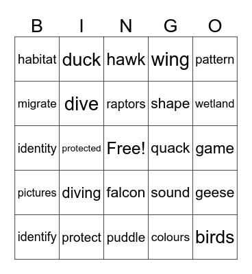 birds Bingo Card