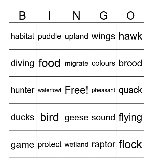 bird  CORE Bingo Card