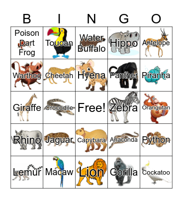 Rainforest Safari Animal Bingo Card