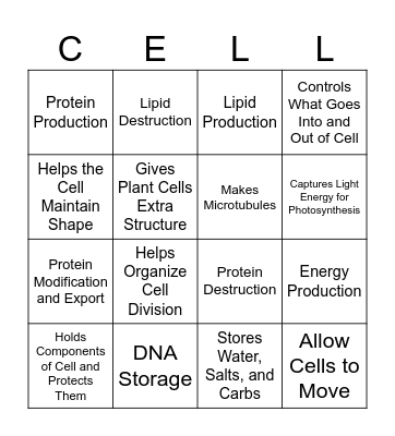 Eukaryotic Cell Bingo Card