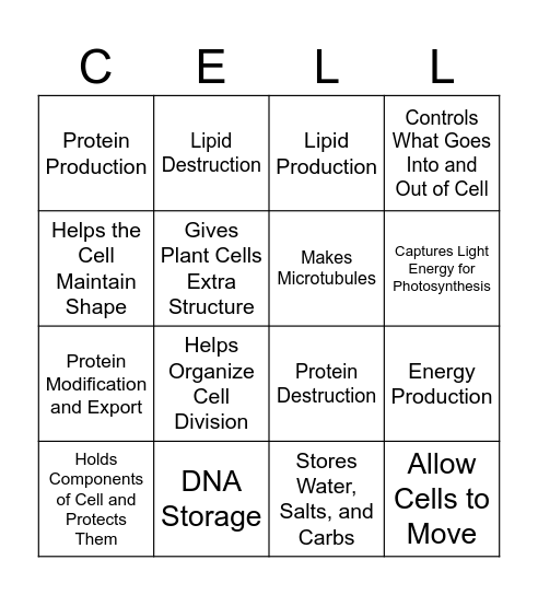 Eukaryotic Cell Bingo Card