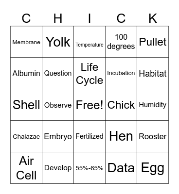 ChickQuest Vocabulary Bingo Card