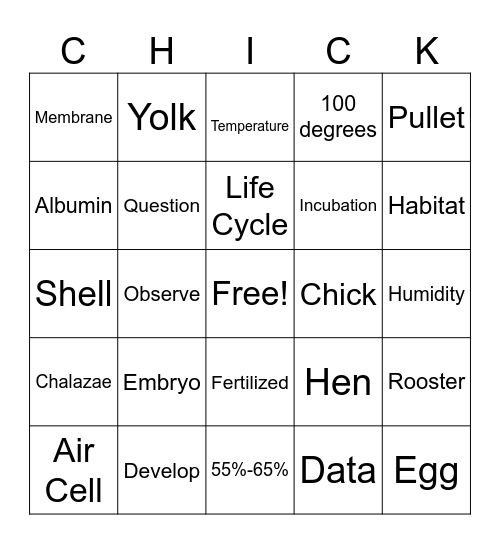 ChickQuest Vocabulary Bingo Card