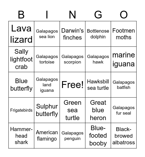 Galapagos Island Animals Bingo! Bingo Card