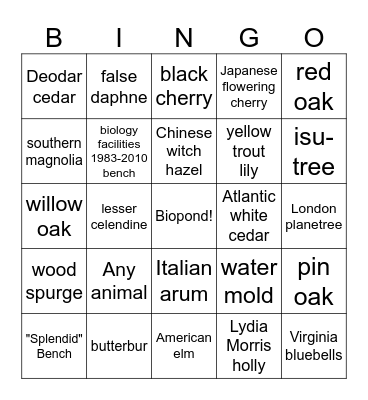 Earth Day Scavenger Hunt Bingo Card