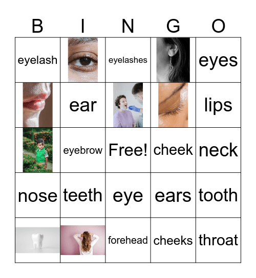 Face Parts Bingo Card