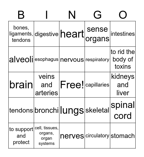 Body Systems Bingo  Bingo Card