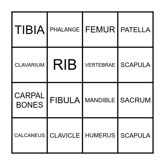 BONE BINGO! Bingo Card