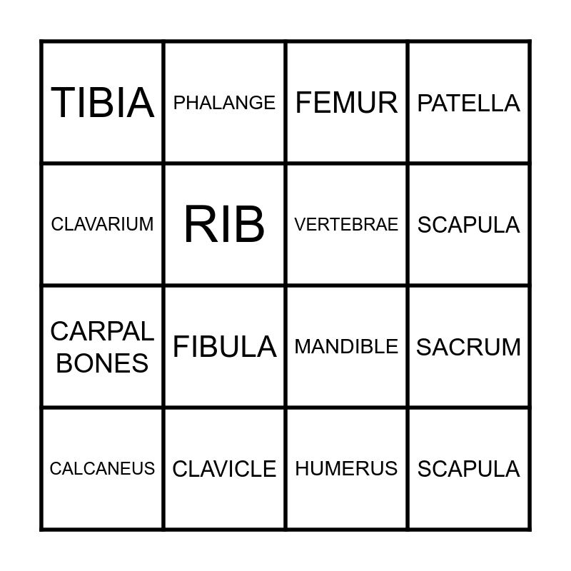 BONE BINGO! Bingo Card