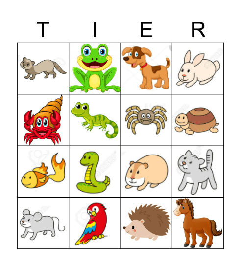 HAUSTIERE DEUTSCH Bingo Card