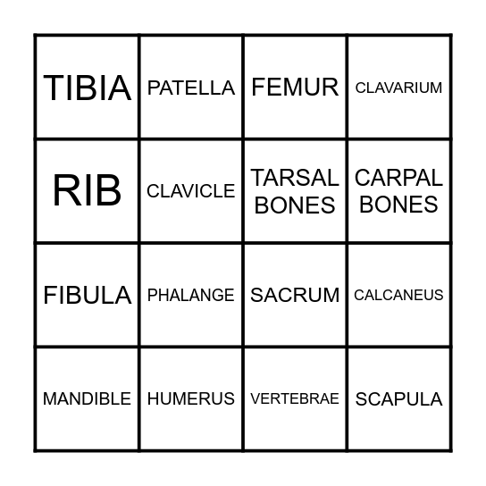 BONE BINGO! Bingo Card