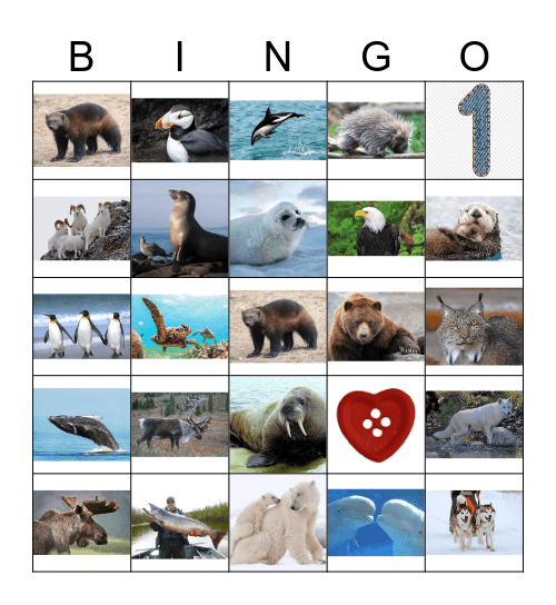 ALASKAN  ANIMALS Bingo Card