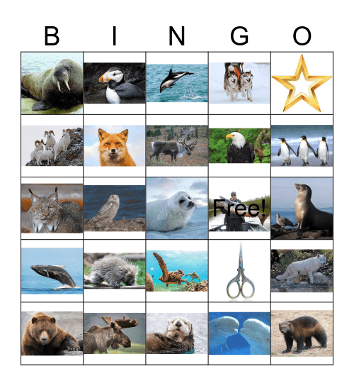 ALASKAN  ANIMALS Bingo Card