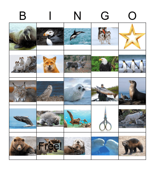 ALASKAN  ANIMALS Bingo Card