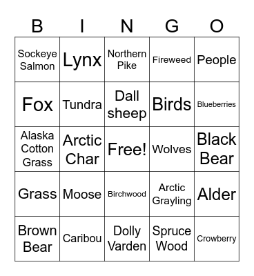 Lake Clark National Park Bingo Card