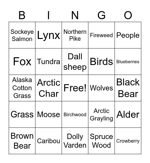 Lake Clark National Park Bingo Card