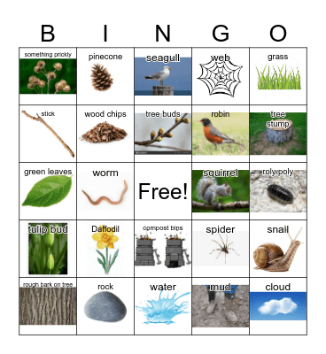 Outdoor School Bingo! Bingo Card