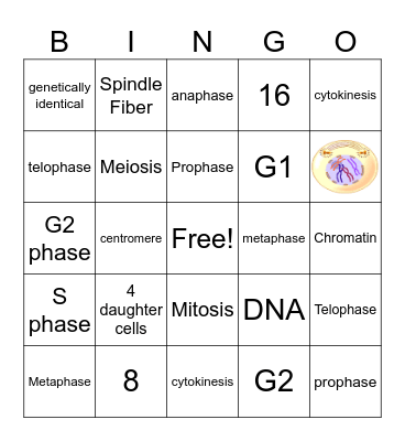 Mitosis Bingo Card