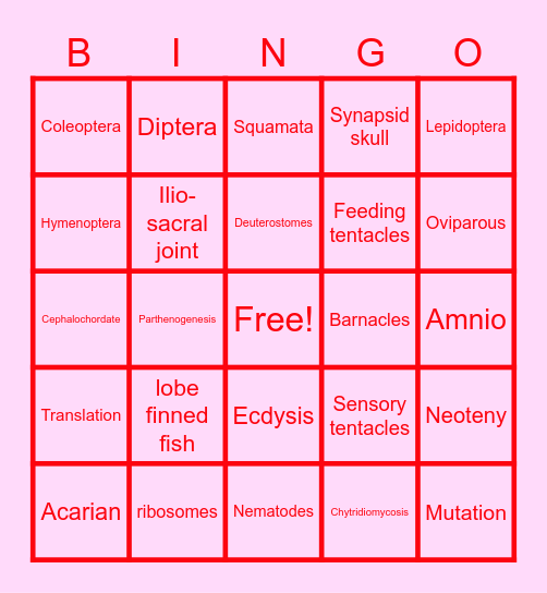 Exam 4 Bingo Card