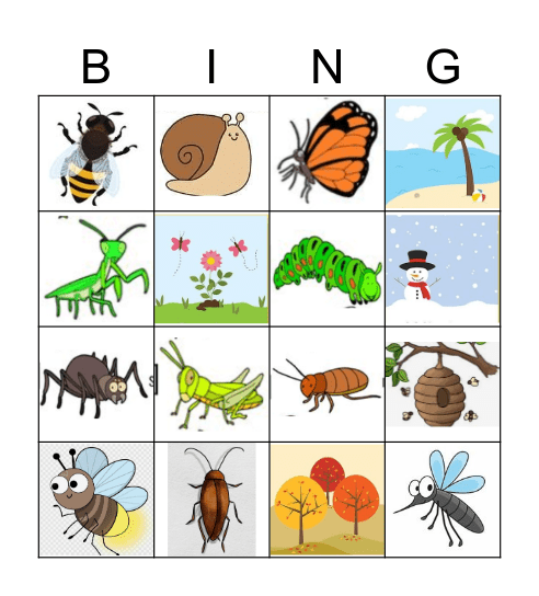 BUGS Bingo Card