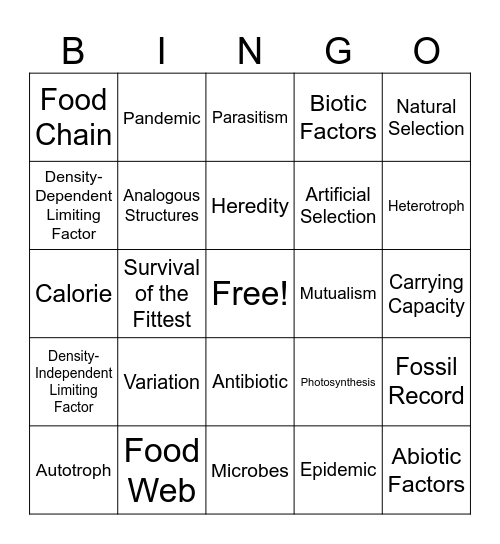 Check-In Review Bingo Card