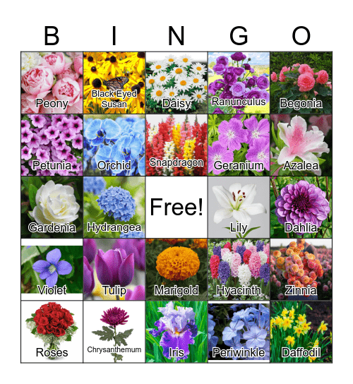 Name That Flower Bingo Card