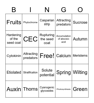 Plant Physiology Bingo III Bingo Card