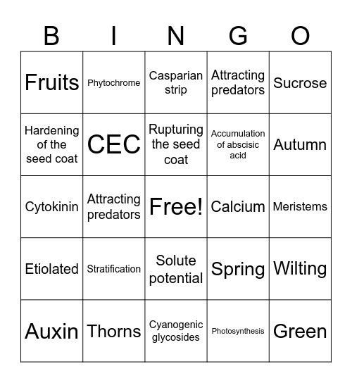 Plant Physiology Bingo III Bingo Card