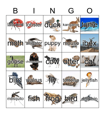 Animals Bingo Card