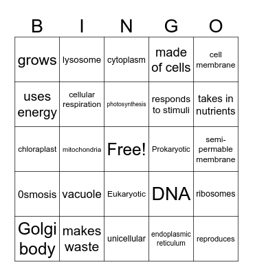 Life processes at the cellular level BINGO Card