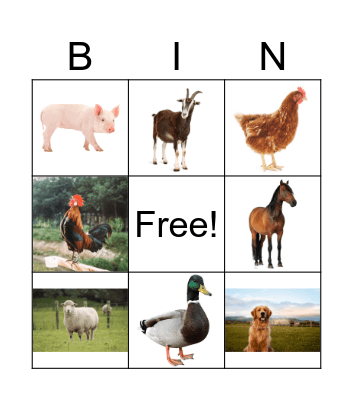 farm animals 2 Bingo Card