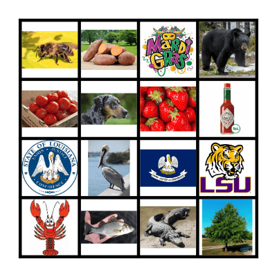 Louisiana Bingo Card