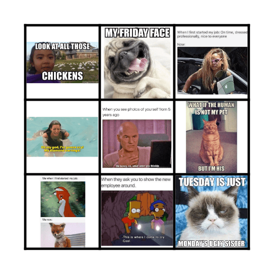 Meme Bingo Card