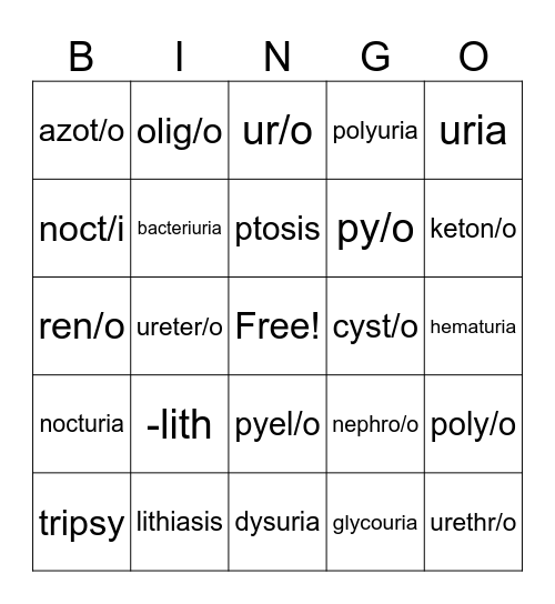 Urinary System Bingo Card