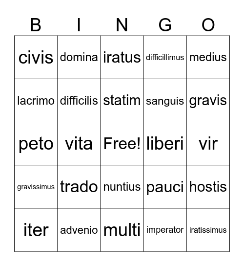 Suburani vocab chapter 9 Bingo Card