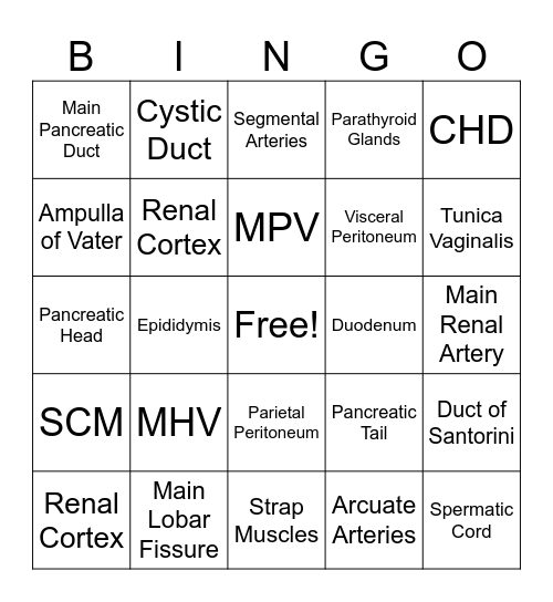 Ultrasound Bingo - Anatomy Bingo Card