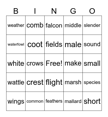 April 23 Bingo Card
