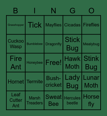 Round 2 : Name That Bug! Bingo Card