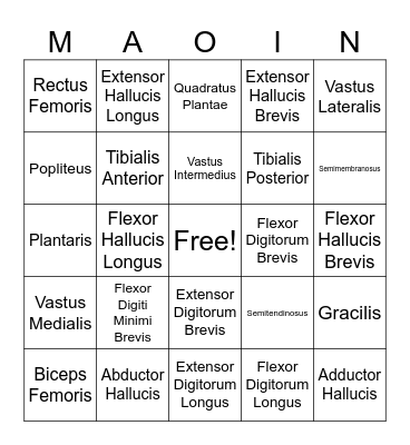 Leg and Foot Bingo Card