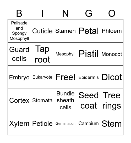 Plant Structure Bingo Card