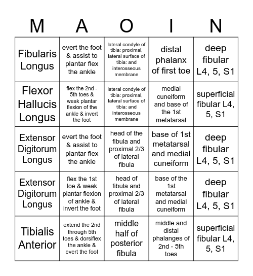 MAOIN BINGO! Bingo Card