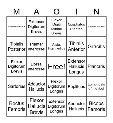 MAOIN BINGO Card
