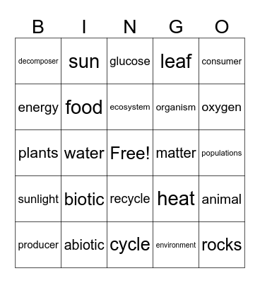 ECOSYSTEM Bingo Card