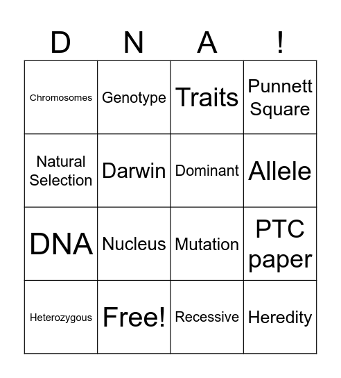 Genetics Bingo Card