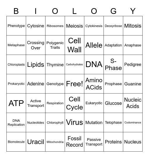 Biology Vocab Bingo Card