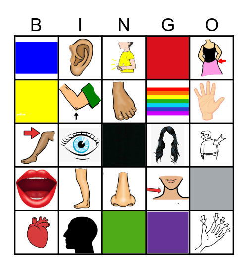 Die Körperteile Bingo Card