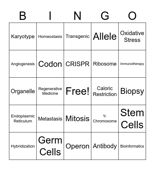 SINCLAIR LAB BINGO Card